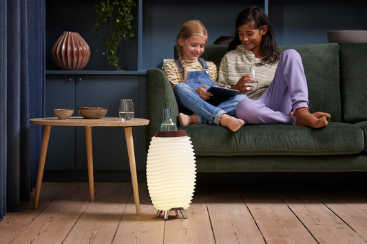 Kooduu Synergy | Bluetooth 1 in Wine Cooler LED lamp – Speaker, and dimmable